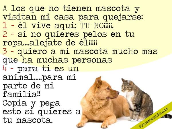 Imagenes de Miercoles - Imagenes para facebook y fotos