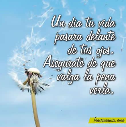 Vida
