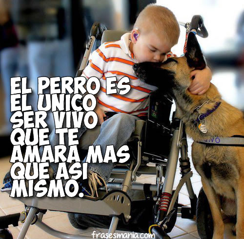 511391345244-Amor-de-perros.jpg