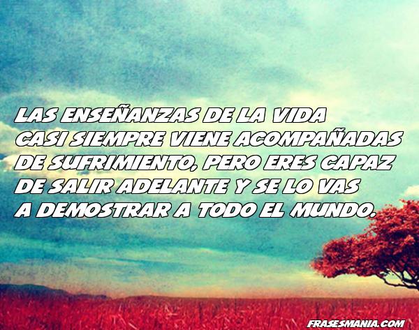 Frases bonitas