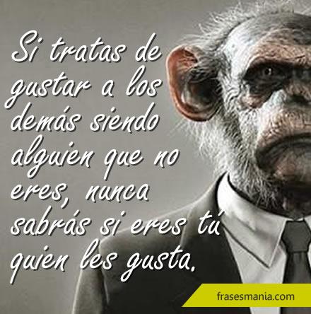 Imagen relacionada