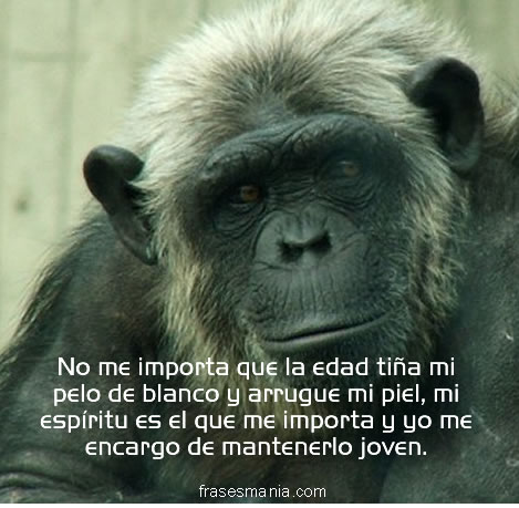 No me importa que la edad tiña mi pelo de. Frases.