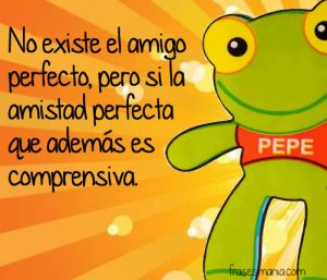 Amigo perfecto