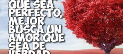 Frase del amor verdadero