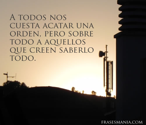 Frases de saber de todo