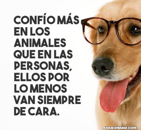 Frases relacionadas con los animales - Frasesmania