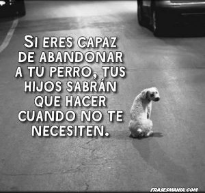 No abandones a tu perro