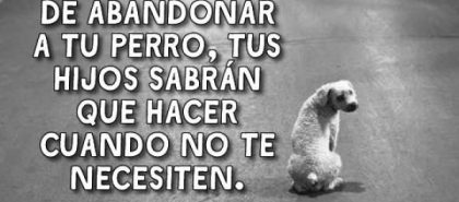 No abandones a tu perro