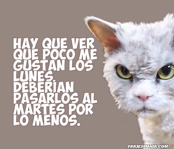 No me gustan los lunes