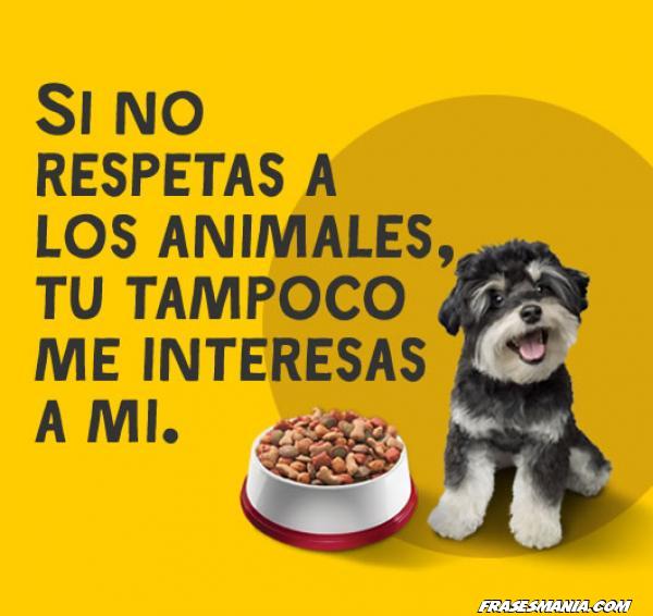 Respeto por los perros