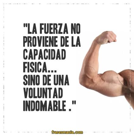 Voluntad indomable