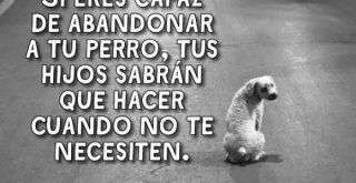 No abandones a tu perro